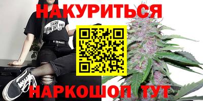 кокс Можга